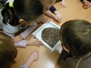 Workshop o životě mravenců